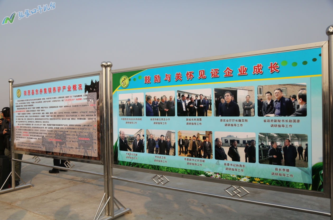 驴脱贫致富新路径,脱贫攻坚养殖致富新路子