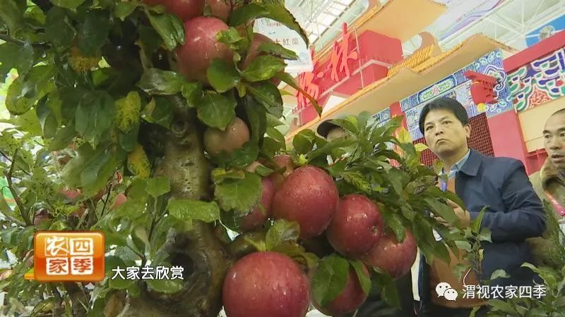 小罗带你逛超市,小罗带你走进水果基地