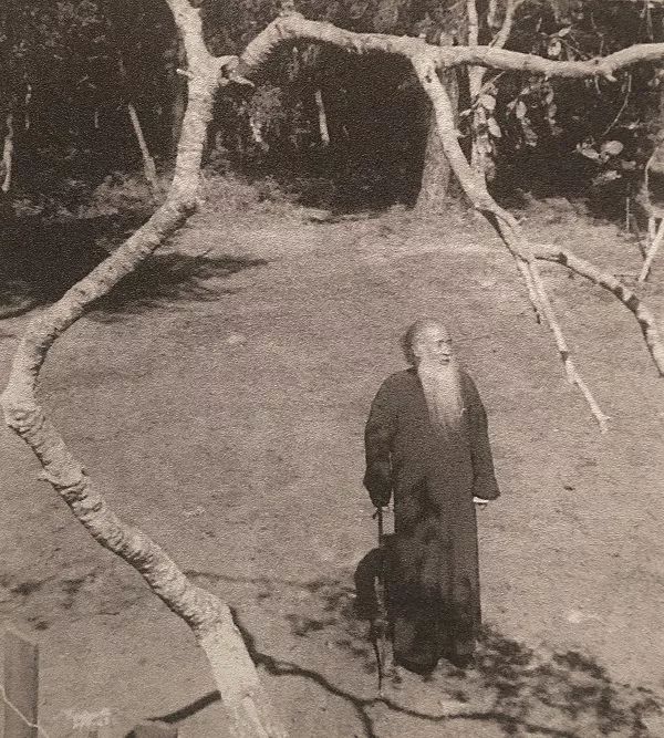 被误读的李白,被误读的古诗句