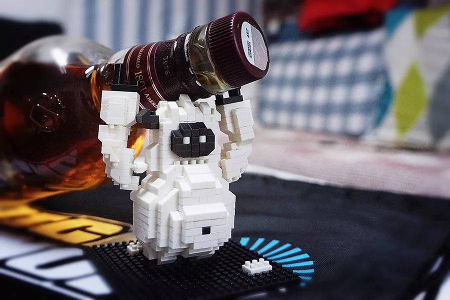 加拿大女教练视频,加拿大二级教练考试