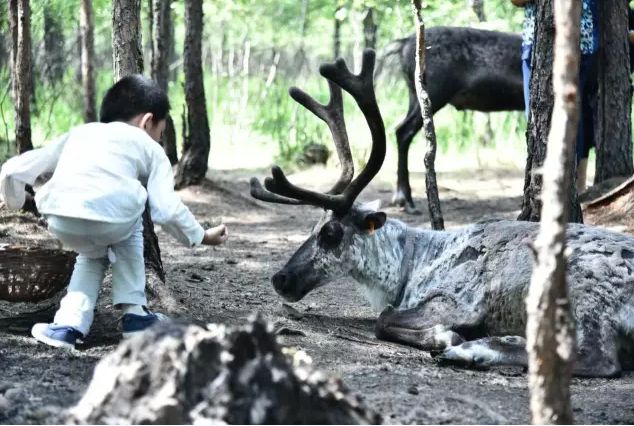 12月份出国亲子游,出国亲子游哪些国家合适