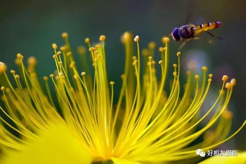 新手入门三脚架如何选择,记住这四个搭配技巧