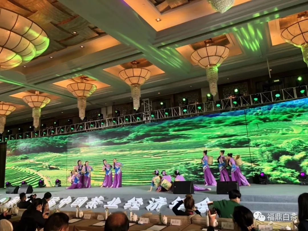 第十五届茶叶年会,2018年中国茶叶