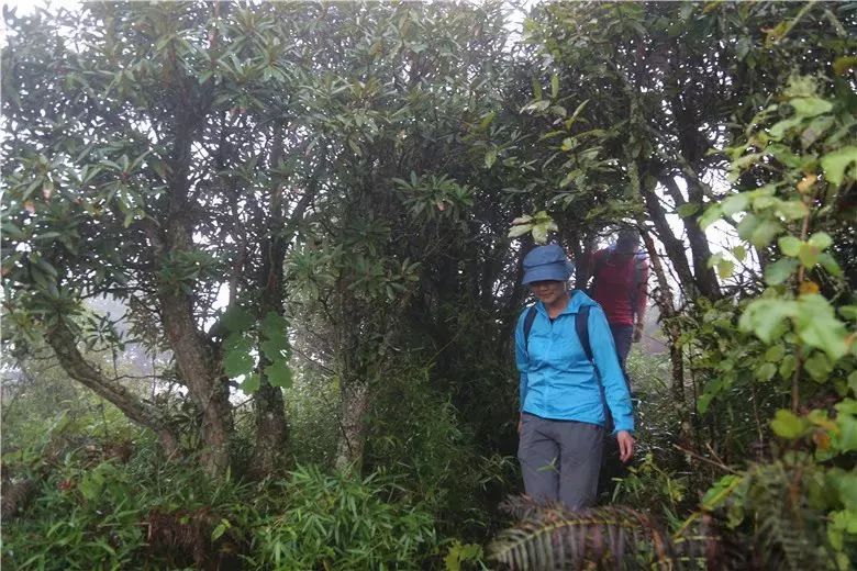 元江哈尼山寨旅游攻略,元江一年一度哈尼十月长街宴视频