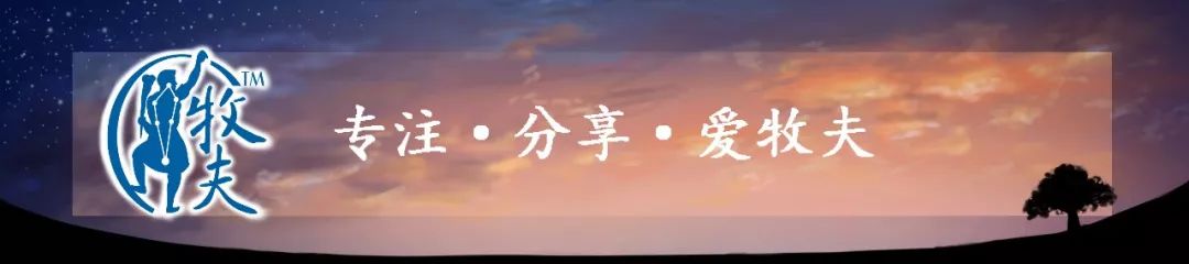 我们为什么生活在宇宙,为什么有种被困在宇宙里的感觉