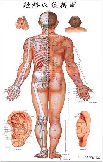 退伍军官花10余年,研究出治疗近视的中医手法!推出后百万人受益!