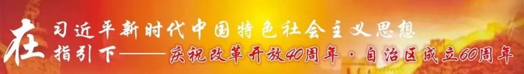 红领巾小健将活动感受,红领巾小健将