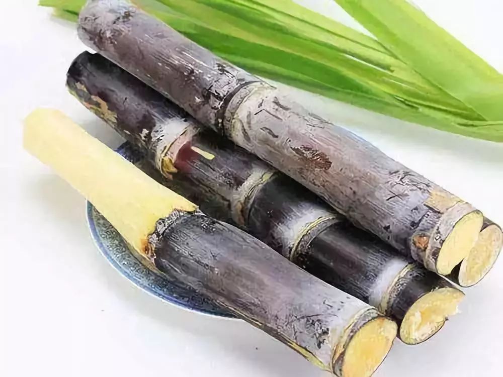 健康｜吃个甘蔗，下巴被吃“掉”了？