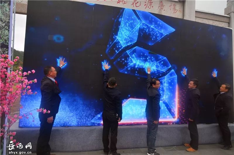 第一届油茶节,成功举办首届油茶节