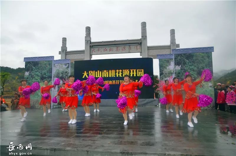 第八届油菜花节,乡村振兴油菜花节