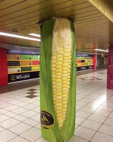 孩子吃饭不怎么嚼怎么办,孩子吃饭不香怎么办