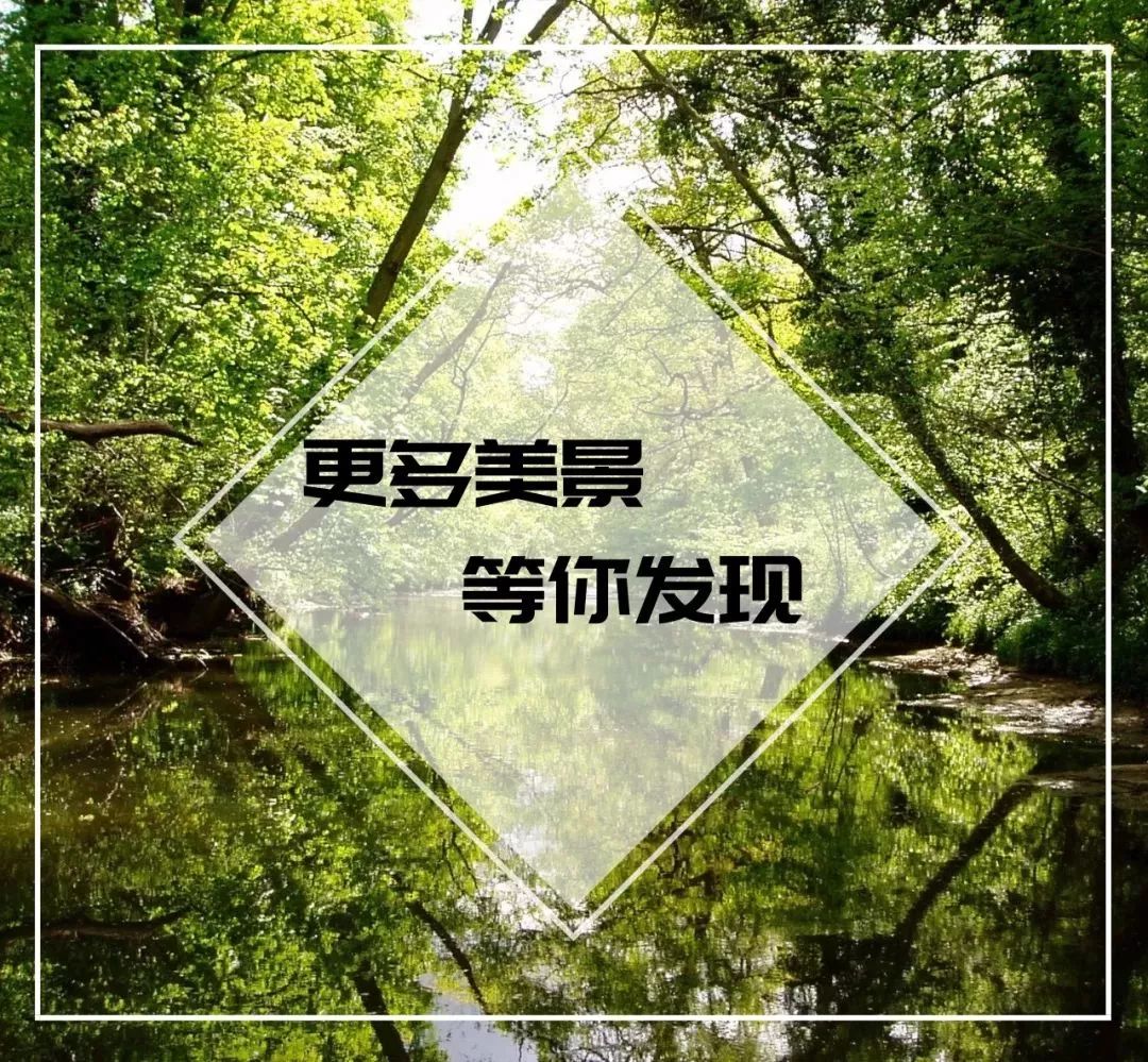 「信息速递」请为他们打Call!超2000人徒步50公里，只为做这一件事……