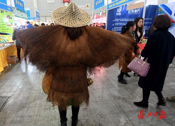 东湖水杉林武汉最美的秋色,航拍武汉风景