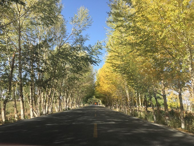 自助攀登玉珠峰,攀登玉珠峰攻略