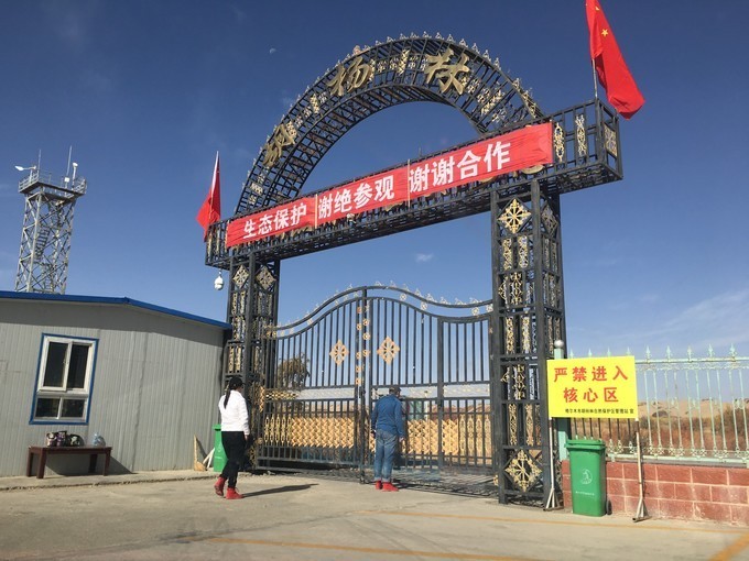 自助攀登玉珠峰,攀登玉珠峰攻略