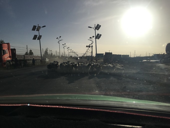 自助攀登玉珠峰,攀登玉珠峰攻略