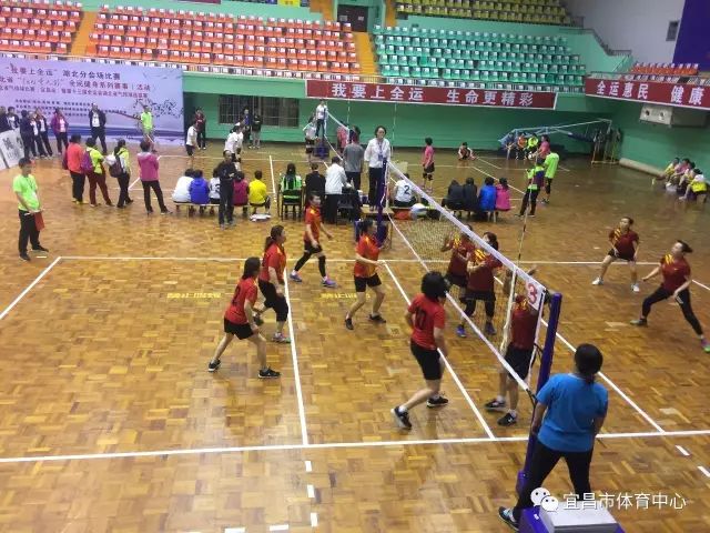 宜昌成人羽毛球培训班,宜昌哪里可以学攀岩