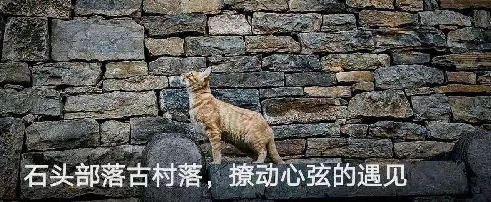 探秘山东的“齐鲁辣城”，有道菜居然能battle过川菜！