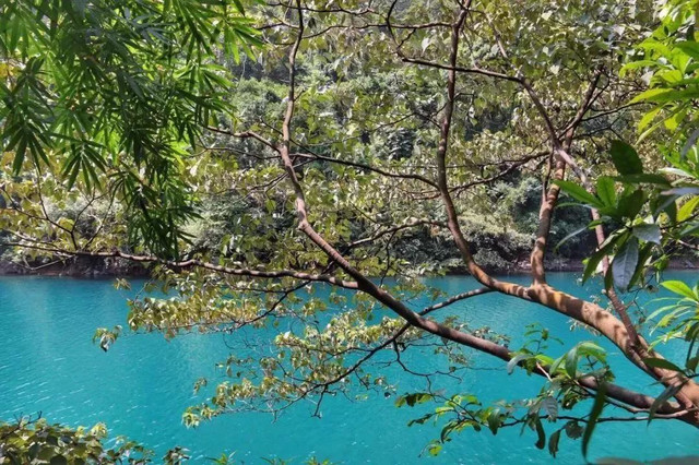 深圳旅游五日游景点推荐,深圳五一游玩线路汇总