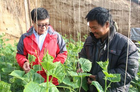 亲土一号骗人,亲土1号