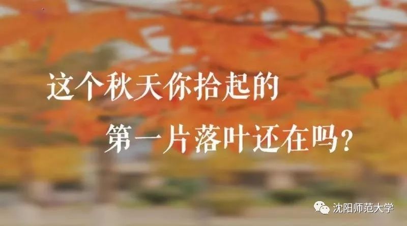 四六级考试还剩多久,四六级考试是不是很简单