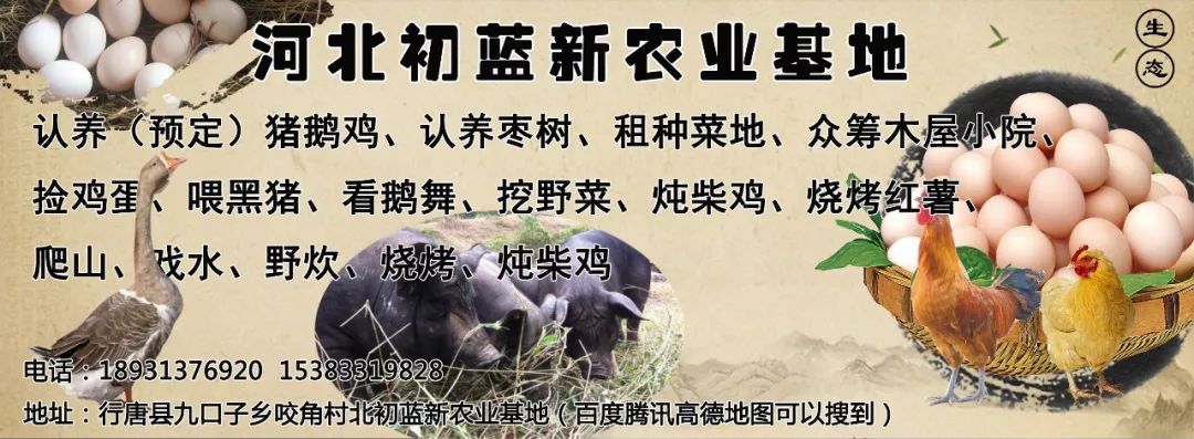 月入过万的手机兼职,手机兼职有哪些赚钱项目