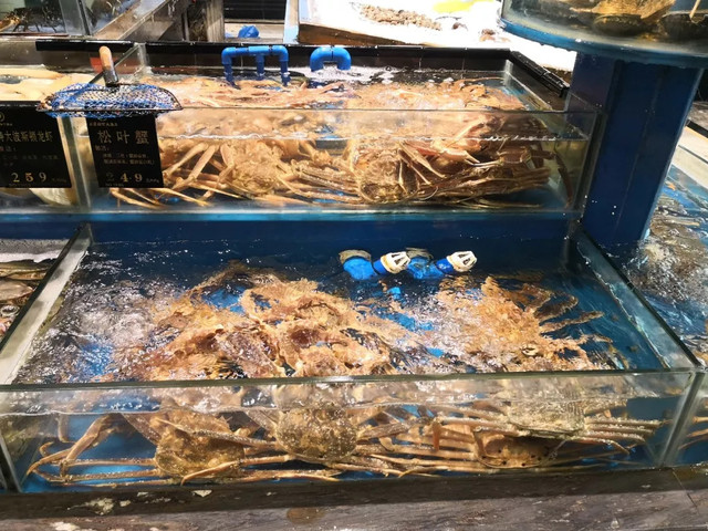 帝王蟹1499元,帝王蟹1299元