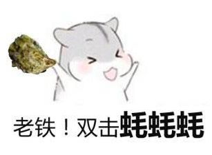 蚝情万丈,蚝情万丈图片