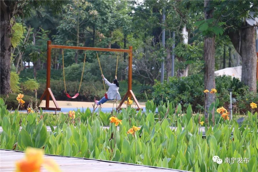 百里秀美邕江风景如诗如画,南宁百里邕江最新消息
