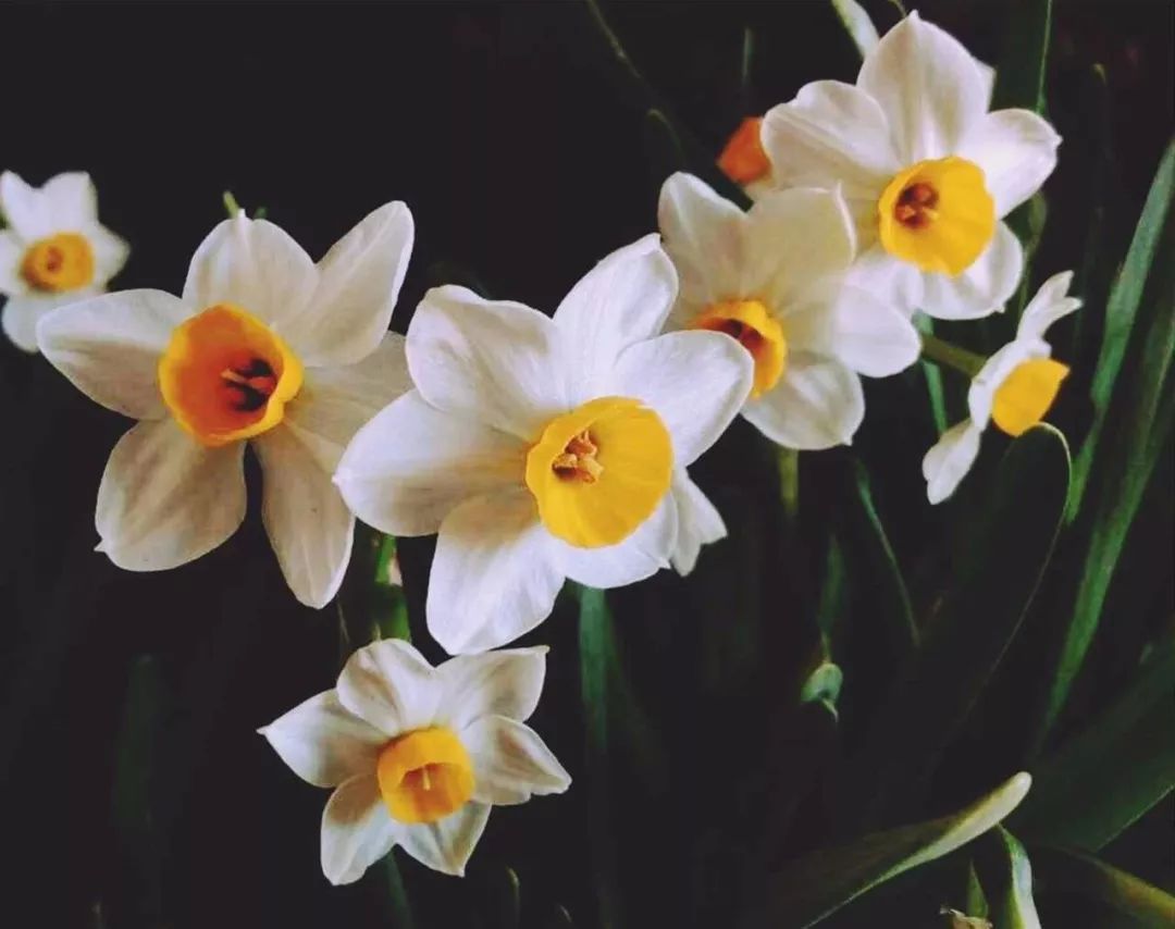 北方人会猫冬,东北什么时候开始猫冬