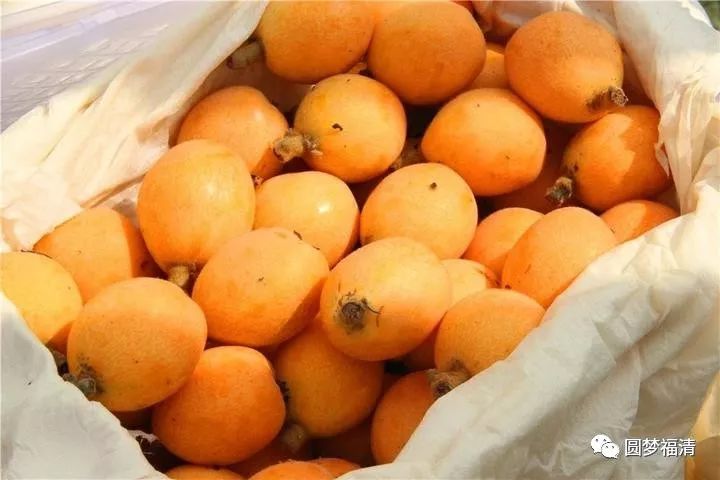 看一眼就忘不掉电影,看一眼一辈子都忘不掉的视频