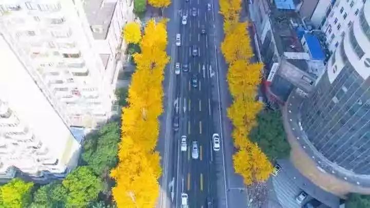 满城尽带黄金甲取景地图片,满城尽带黄金甲震撼场景