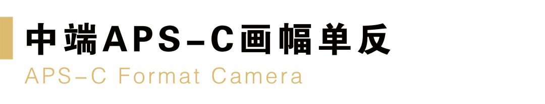 什么尼康相机性价比高,尼康哪款相机最值得入手