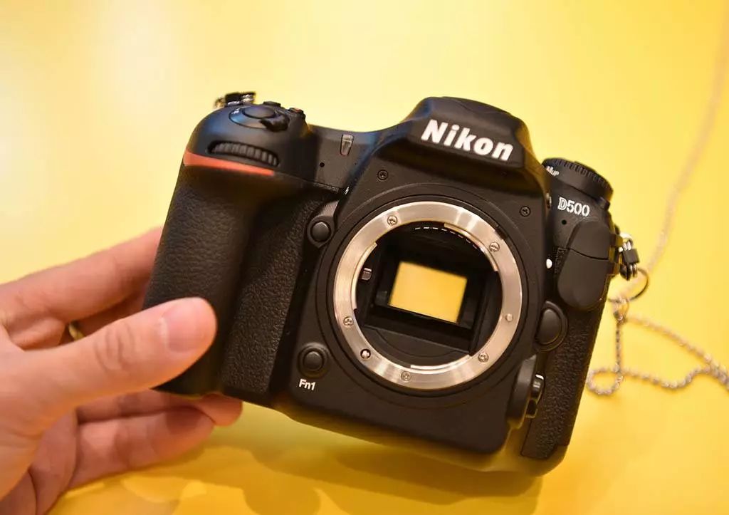 尼康值得入门的单反相机推荐,尼康最新款单反相机d780和d850