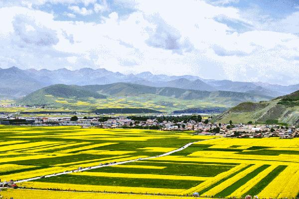 珠海人坐火车去青海吧！15个站只要302.5元，沿途风景美哭你！