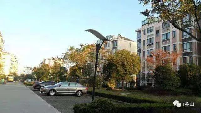 从“草根”到“大亨”,他的传奇人生,金山的发展见证!