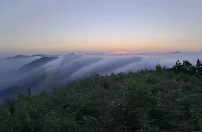 西溪湿地免费区域从哪儿进,西溪湿地免费区域地图