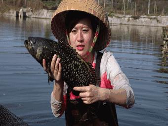 渔家女朋友圈直播,渔家女海鲜直播