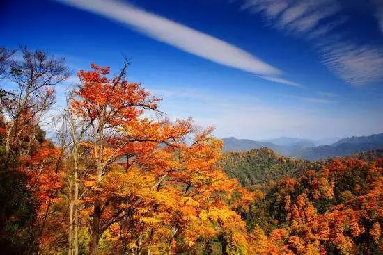 巴中风景区排行榜前十名,巴中网红打卡