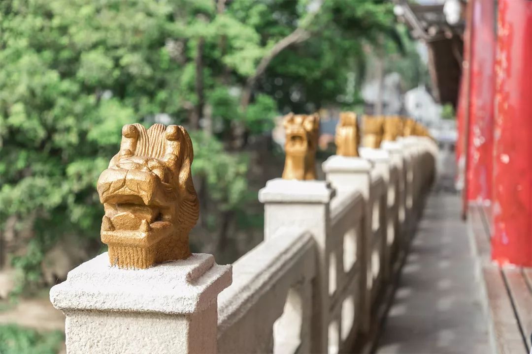 龙岗第一高楼最新消息,龙岗第一城