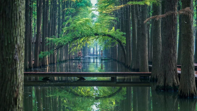 十一不能出去看风景,十一出去看世界