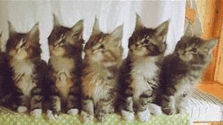 100个实用生活小妙招大全,100个好用的生活小妙招