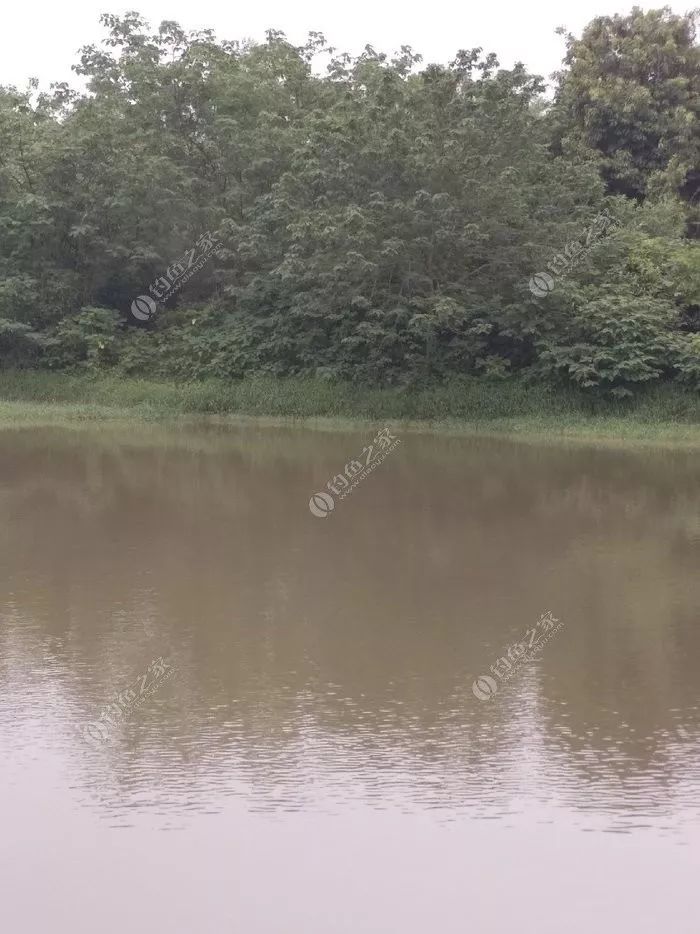 瑶柱钓鱼真实效果,干瑶柱钓鱼怎么样