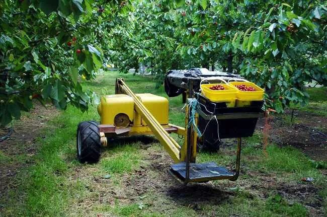 青岛一天生活,青岛24小时生活