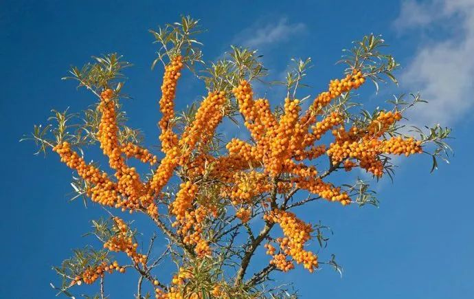 大地文心生态文学系列优秀作品集,大地文心生态视频