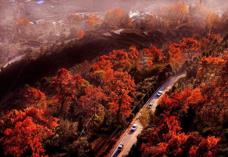 风景秀丽的浙南小城,富有魅力的浙南小城