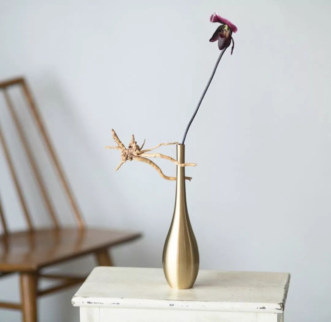 十大最好看的花瓶图片,精品好看的花瓶图