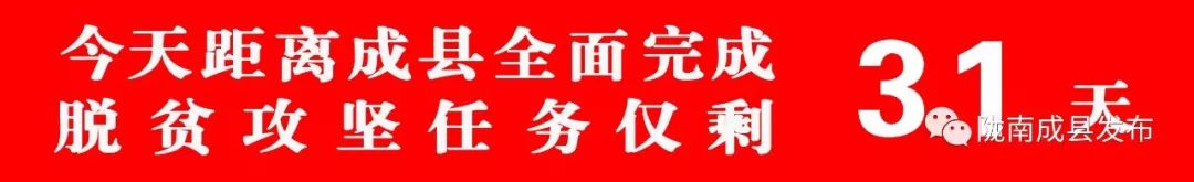 古县安康杯篮球赛,成县体育中心足球赛