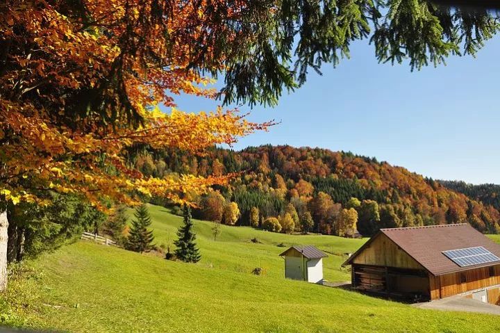 九旬清华名教授夫人断食结束生命,感悟太多令人无眠