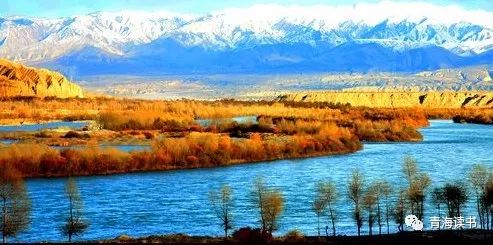 刘永霞的作品,刘永霞深圳主播